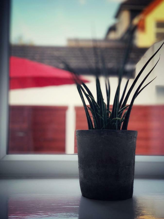 Paul'S Place Near Heathrow لندن المظهر الخارجي الصورة